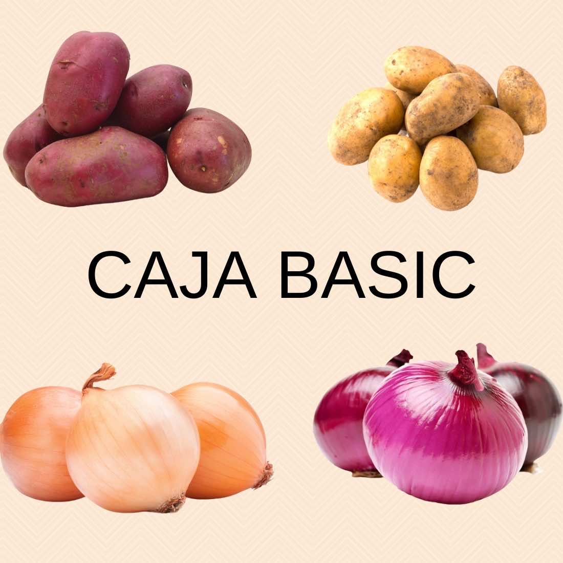 caja-basic-patatas-y-cebollas.jpeg Caja Basica 10 kgs - Imagen 1